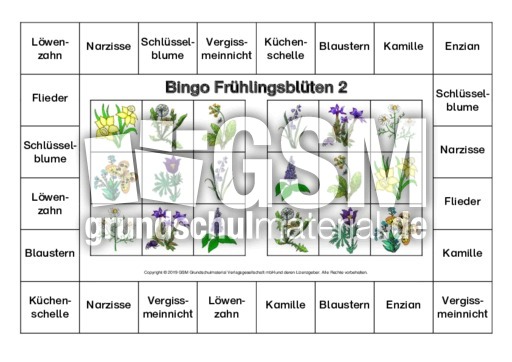 Bingo-Frühlingsblüten-2-B.pdf